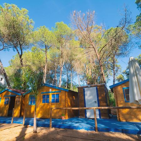Zaluay - Habitaciones De Madera Isla Cristina Dış mekan fotoğraf